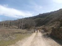 DE MARCHA POR LA VíA VERDE