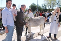 SALIERON AL ENCUENTRO DEL SEñOR ACLAMANDO