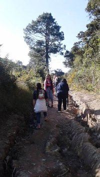 MARILANDIA: UN SANTUARIO AL AIRE LIBRE