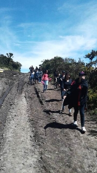 MARILANDIA: UN SANTUARIO AL AIRE LIBRE