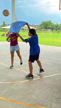 CURSO DE VERANO 2024