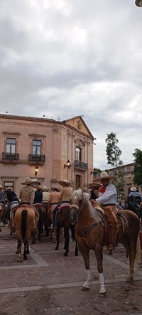 CURSO DE VERANO 2025