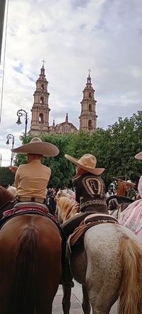 CURSO DE VERANO 2025