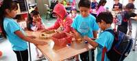 CURSO DE VERANO 2025