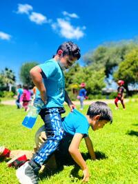 CURSO DE VERANO 2025