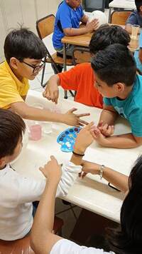 CURSO DE VERANO 2025