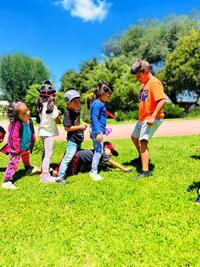 CURSO DE VERANO 2025