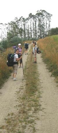 CON BUEN PIE. ECOS DEL CAMINO DE SANTIAGO DEL NORTE